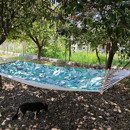 Traditional House Prázdninový dům *