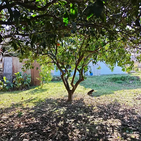 Traditional House Vakantiehuis *