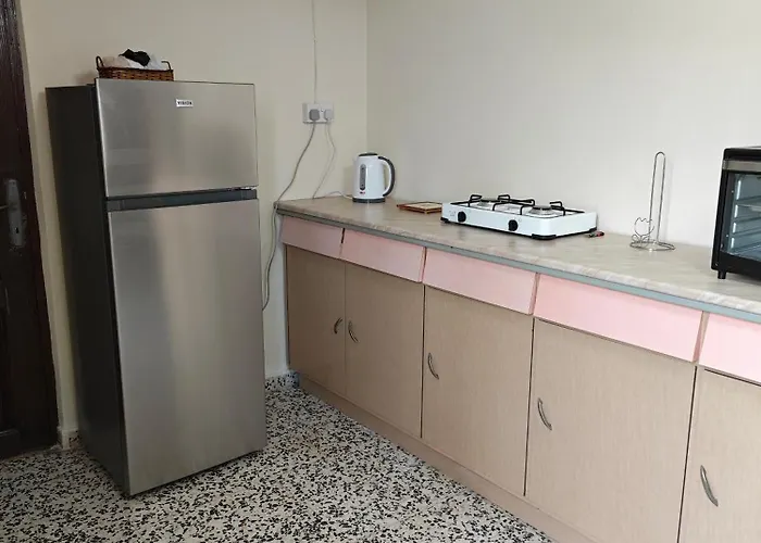 Traditional House 別荘 *