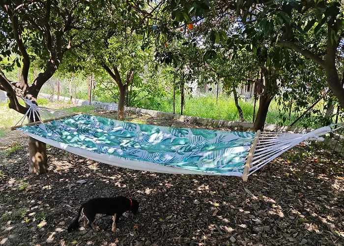 Traditional House 別荘 *