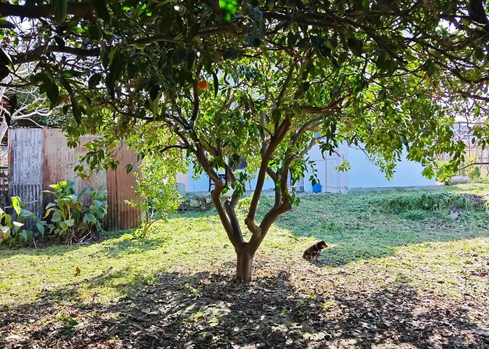 Traditional House 別荘 *